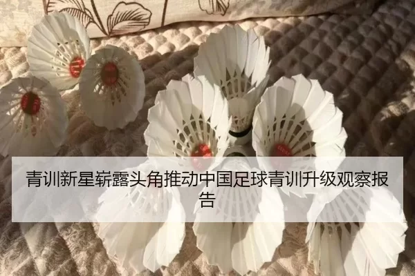 青训新星崭露头角推动中国足球青训升级观察报告
